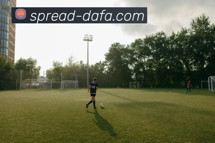 大发官网APP 体育赛事宣传图